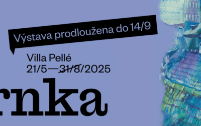 Přidáváme termín komentované prohlídky! – 2. září 2025