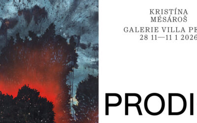 PŘIPRAVUJEME: Kristína Mésároš: PRODIGY 28. 11. – 11. 1. 2026 První ucelená výstava slovenské malířky