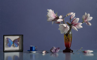 DOPROVODNÝ PROGRAM K VÝSTAVĚ VIOLENCE+