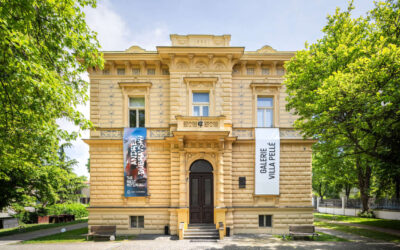 Úterý 9. června – galerie bude mít mimořádně zavřeno